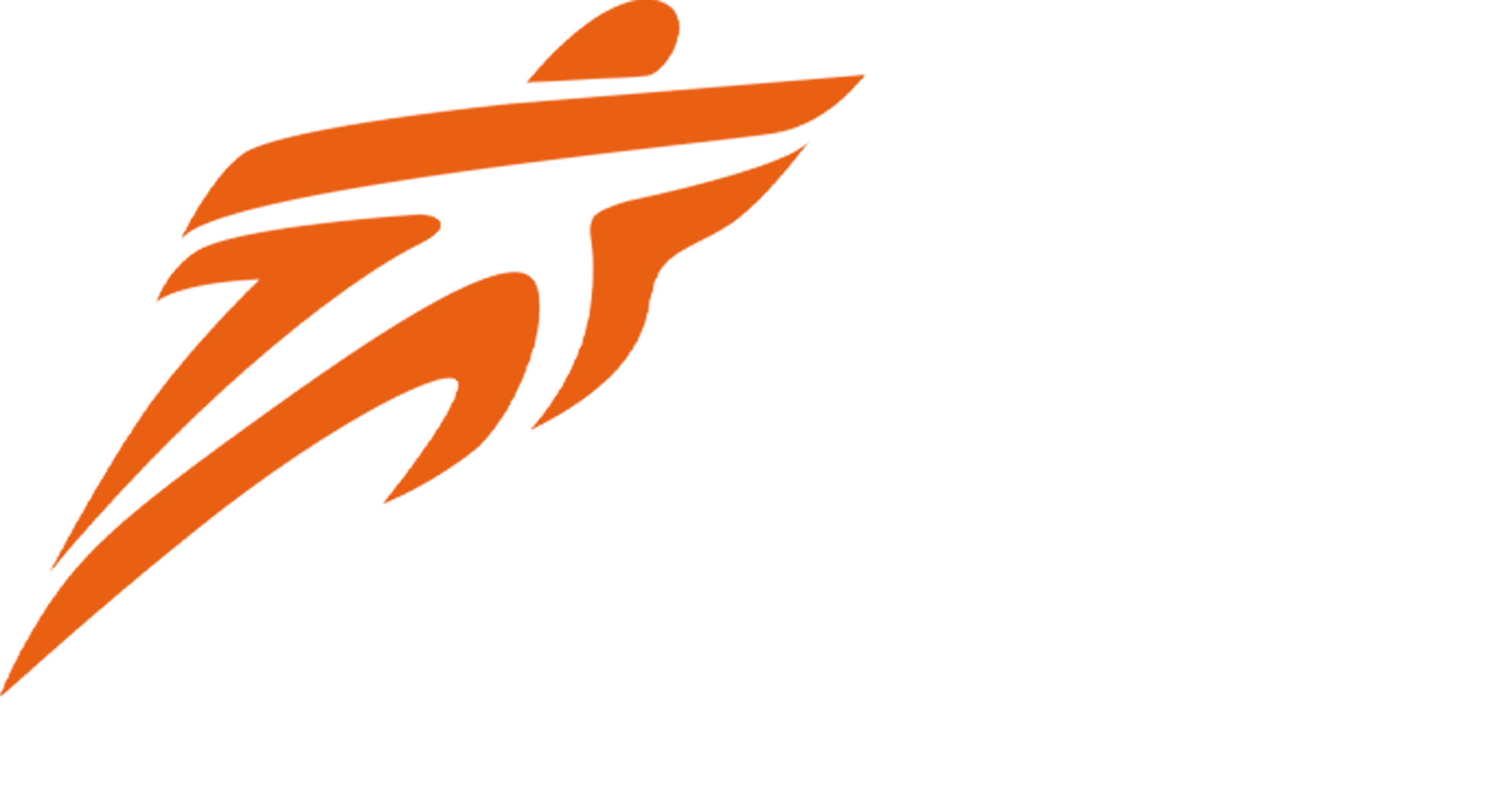 TopSport Logo